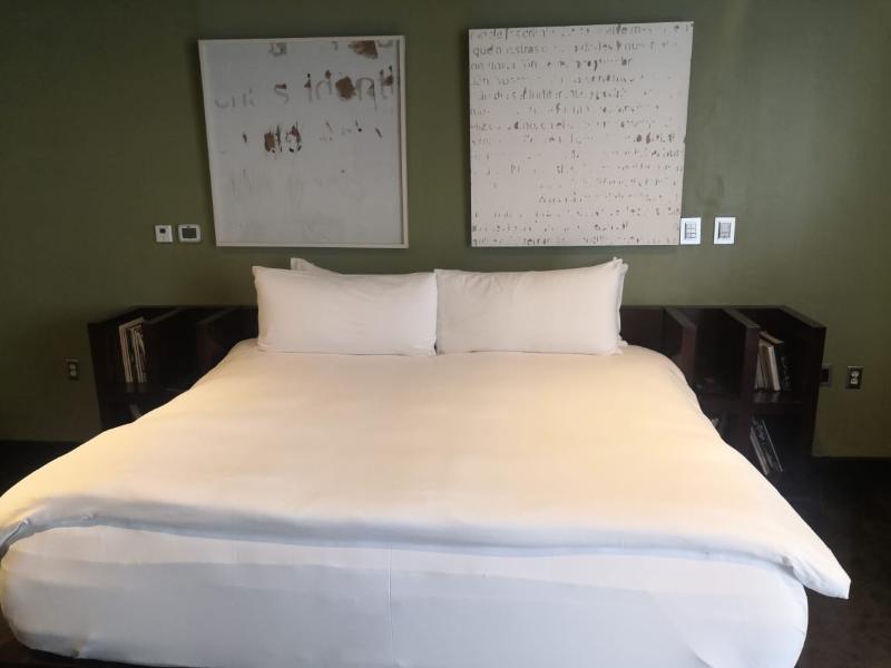Demetria Hotel Гвадалахара Экстерьер фото